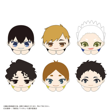 Haikyu HUG CHARACTER COLLECTION 10 | 4580683627283