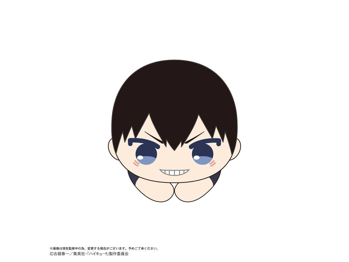 Haikyu HUG CHARACTER COLLECTION 10 | 4580683627283