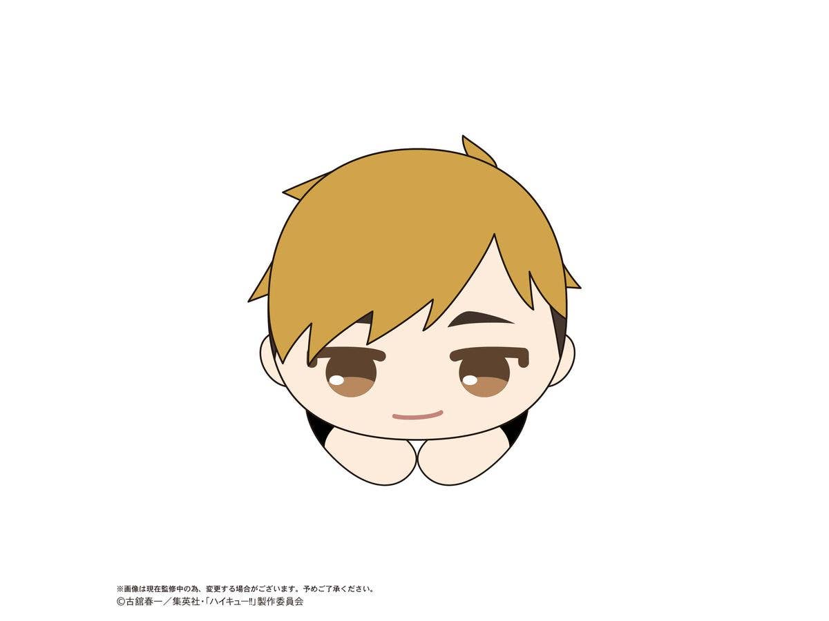 Haikyu HUG CHARACTER COLLECTION 10 | 4580683627283
