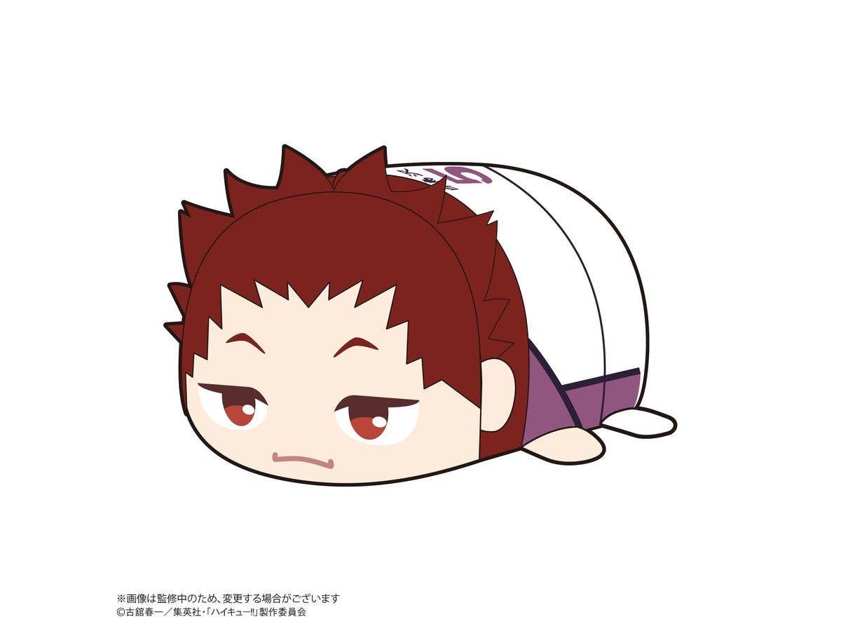 Haikyu POTE KORO MASCOT 2 | 4580683627290