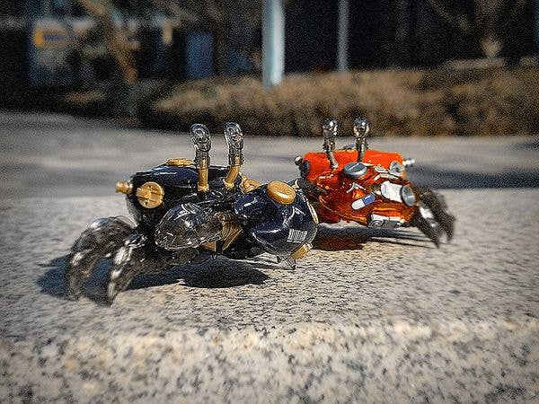 Orange Cat Industry Aquaculture Tank Series 007 Fiddler Crab (Gold Black) Model Kit | 6973848780271