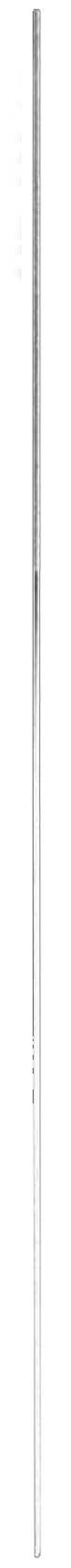 Shimomura Alec Round Stick File - 0.8phi | 4562256112426