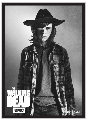 UP D-PRO THE WALKING DEAD 2 CARL 50CT | 074427850548