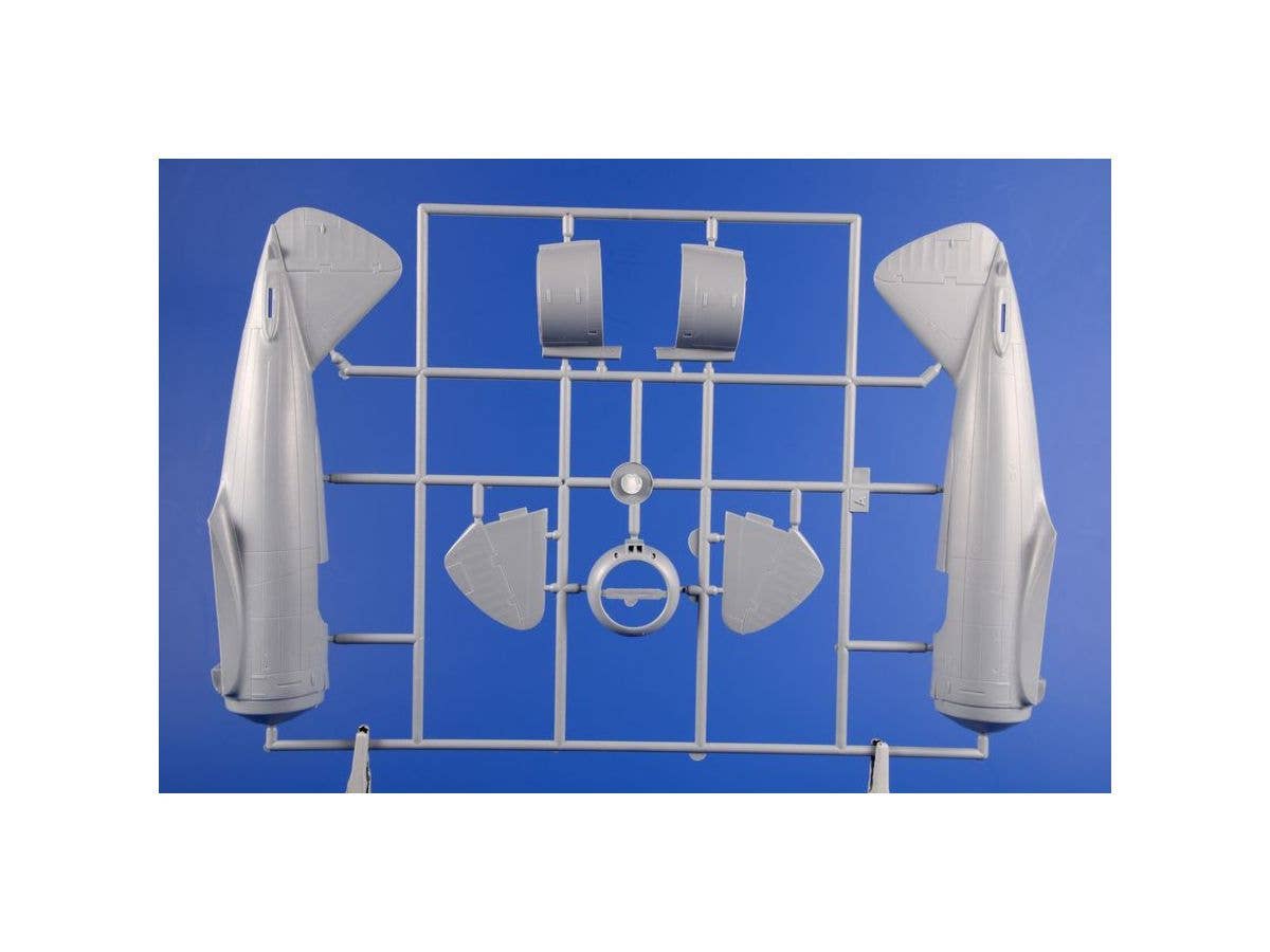 Special Hobby 1/48 J-20/Heja I Re 2000 Export Birds | 8594071087296