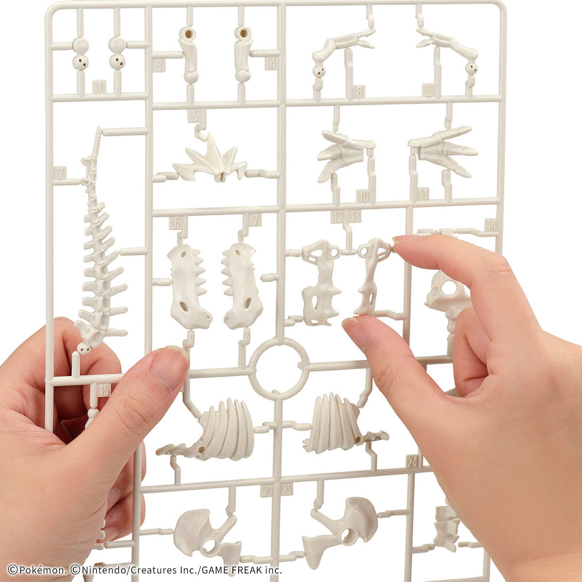 Pokémon Model Kit Fossil Pokémon Series Tyrantrum