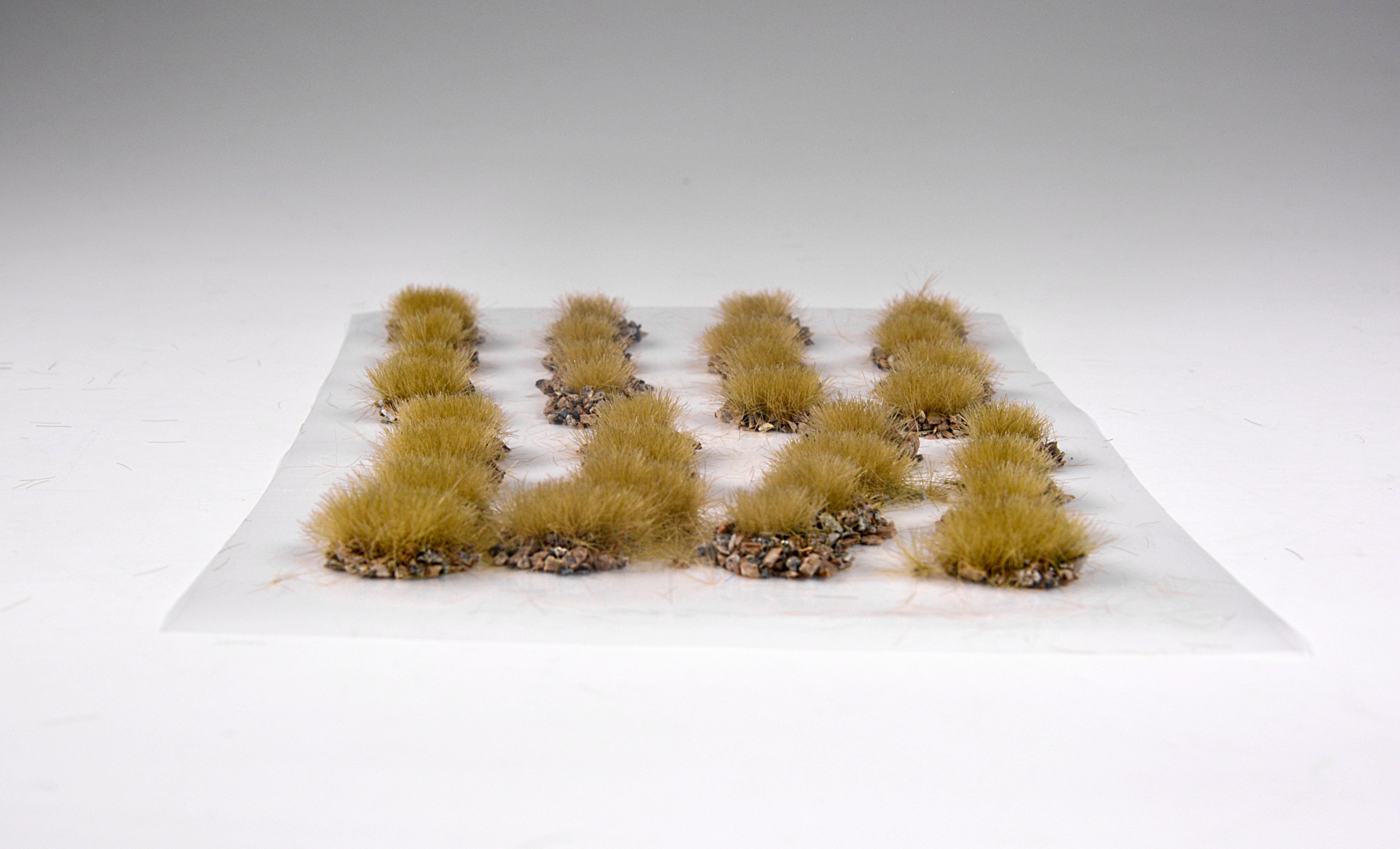 AK Grass With Stones Late Fall Tuffs | 8435568333680