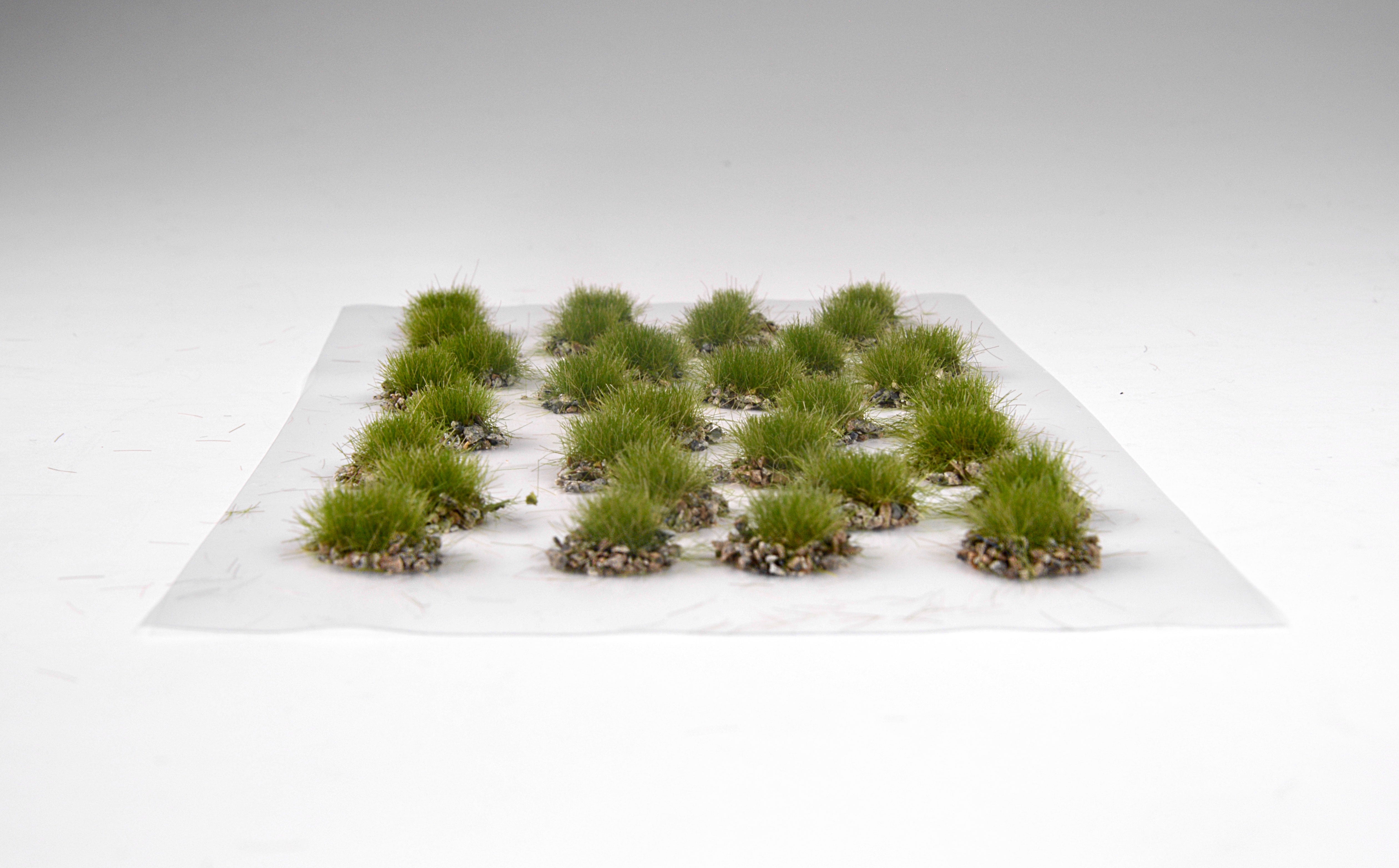 AK Grass With Stones Early Fall Tuffs | 8435568333673