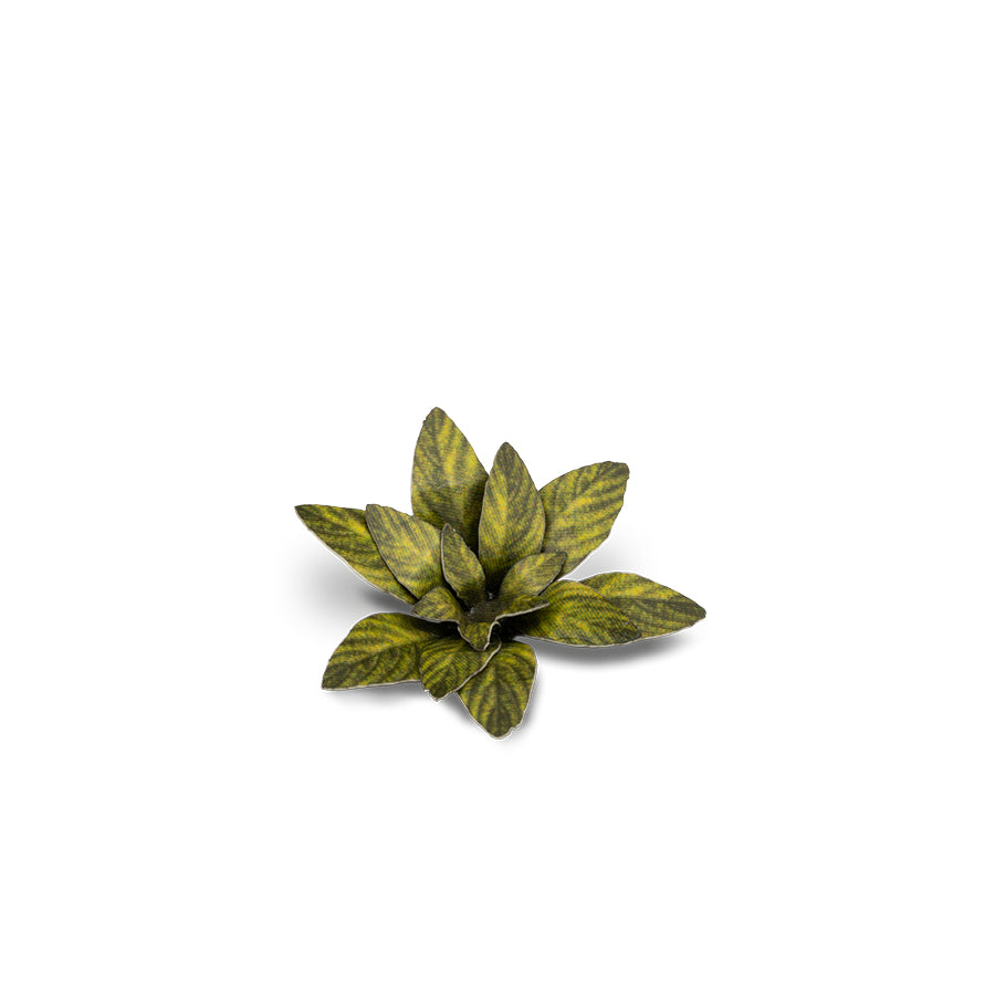 Gamers Grass Static Tuft Laser Plants - Dumb Cane | 738956790019