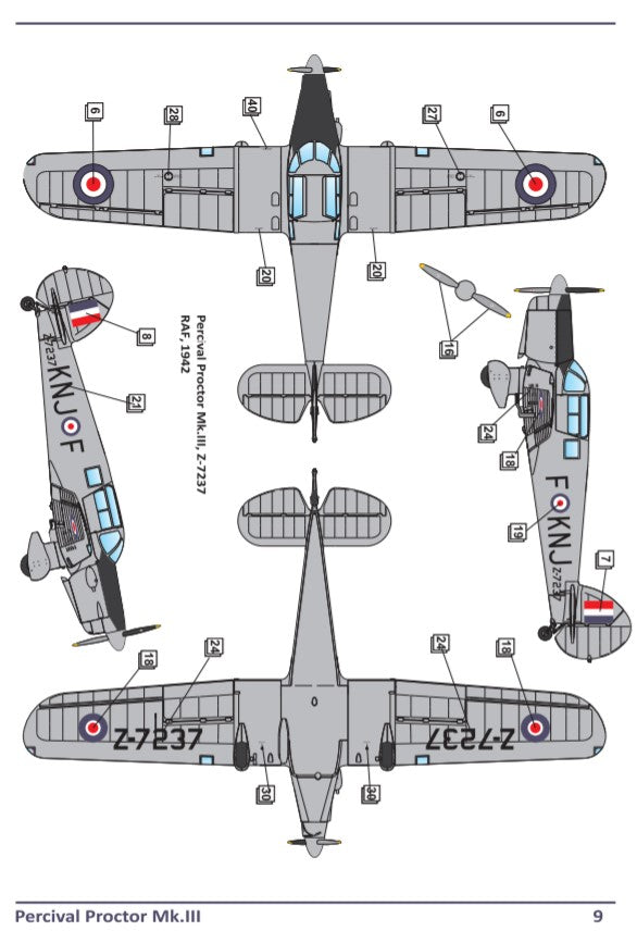 Dora Wings Percival Proctor Mk.III | 4820237050137
