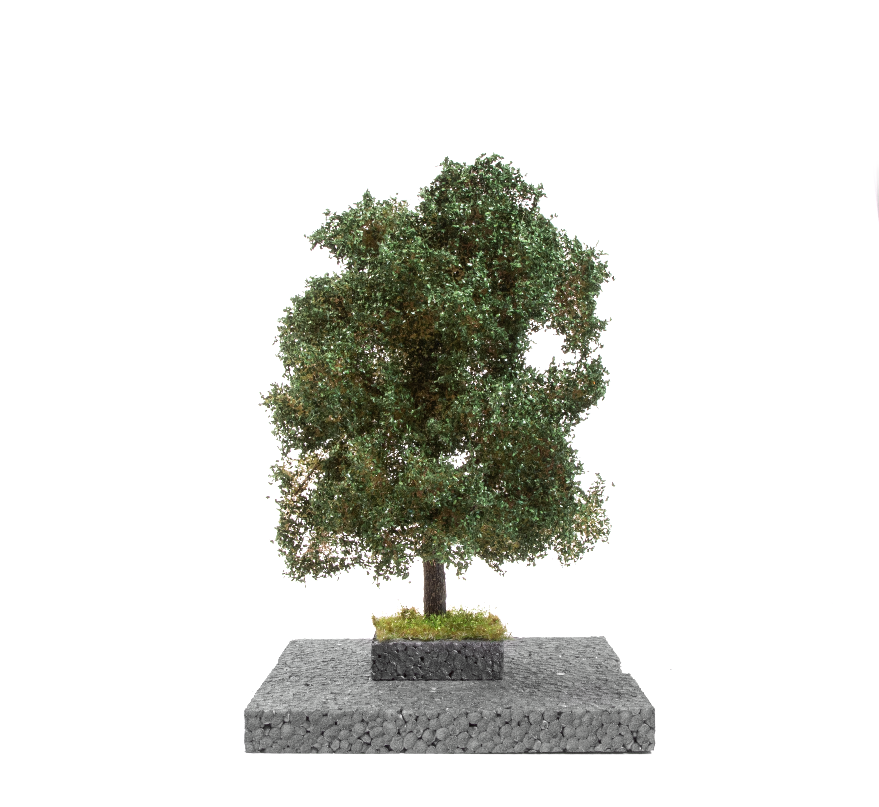 AK Interactive Oak Summer Tree 1/72 | 8435568311541