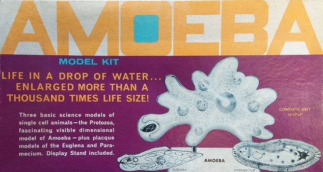 Atlantis Amoeba Single Cell Model Kit STEM | 850002740899