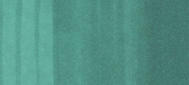 Copic Ciao Marker Greens, Forest Green G17 | 4511338007921