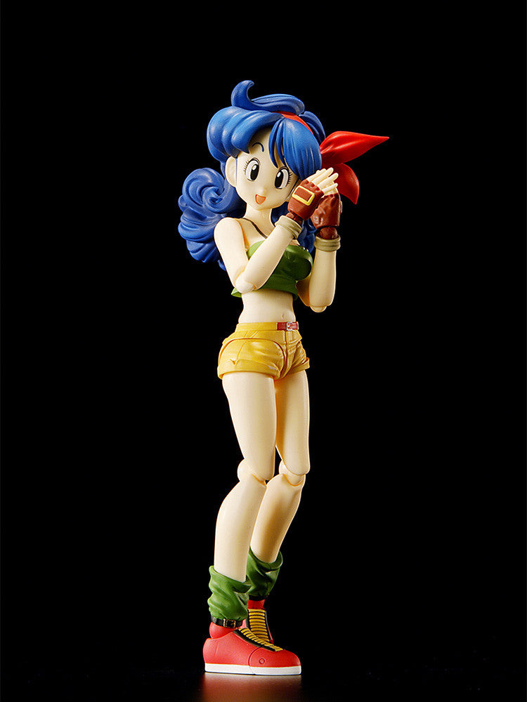 Dragon Ball - Lunch - S.H.Figuarts(Bandai Spirits) | 4573102609007