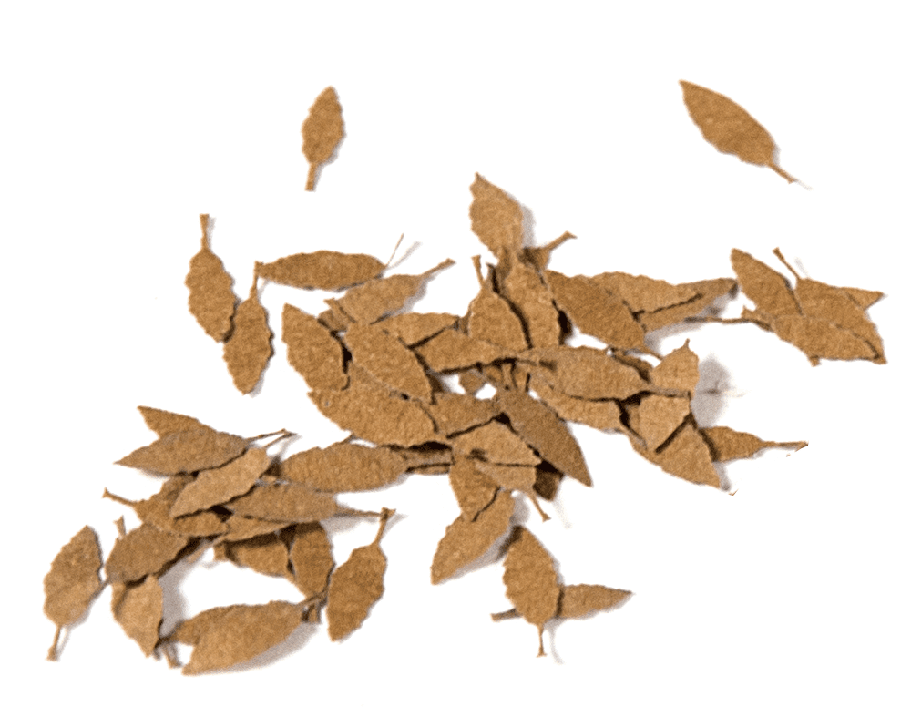 AK Interactive Universal Dry Leaves 1/35 | 8435568301337