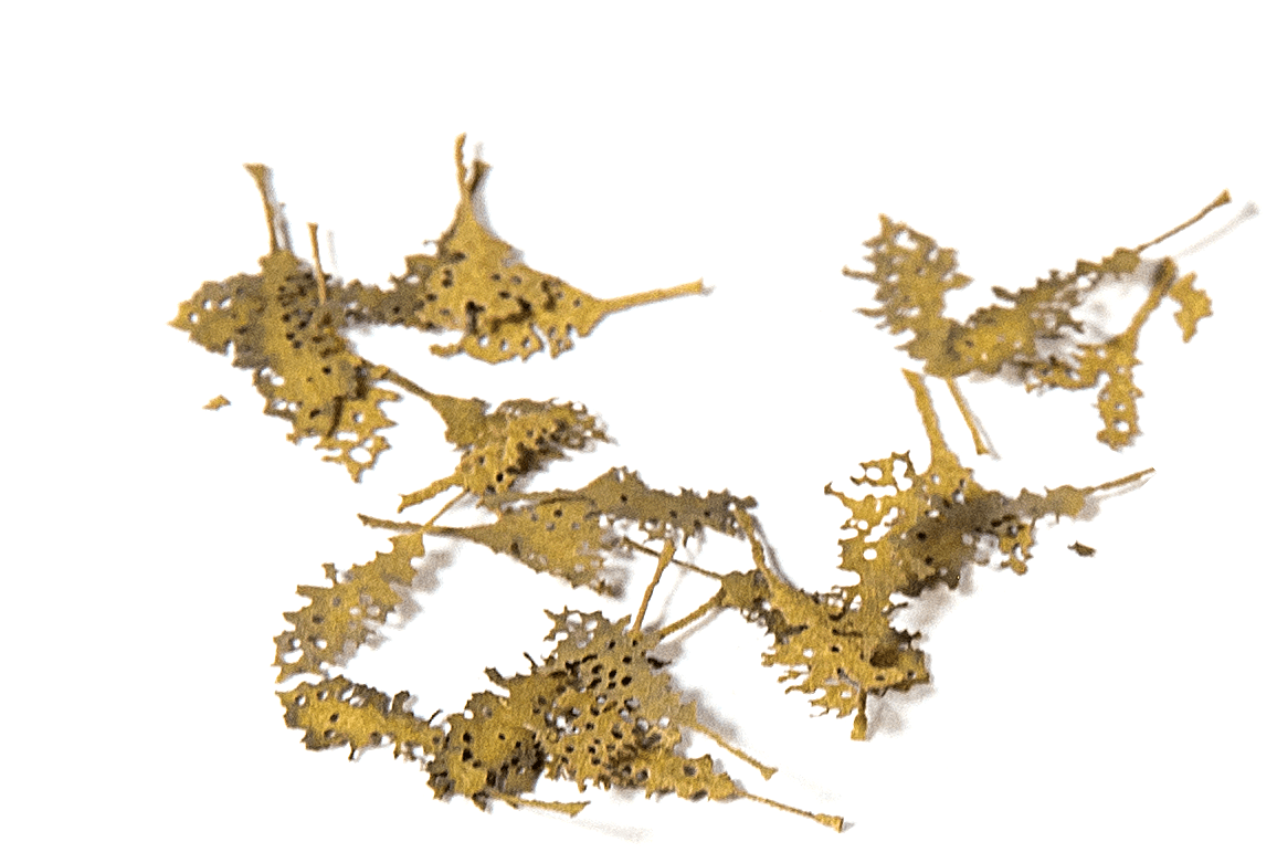 AK Interactive Oak Dead Leaves 1/35 | 8435568301320
