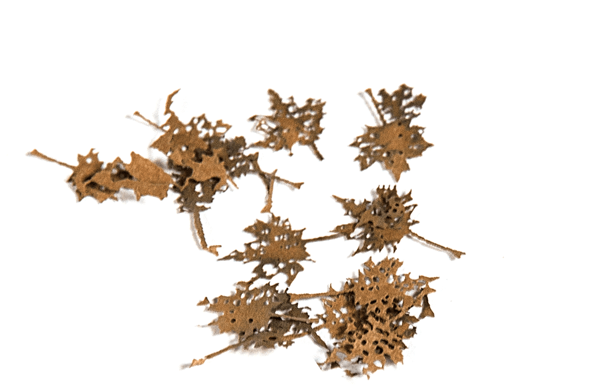 AK Interactive Maple Dead Leaves 1/35 | 8435568301283