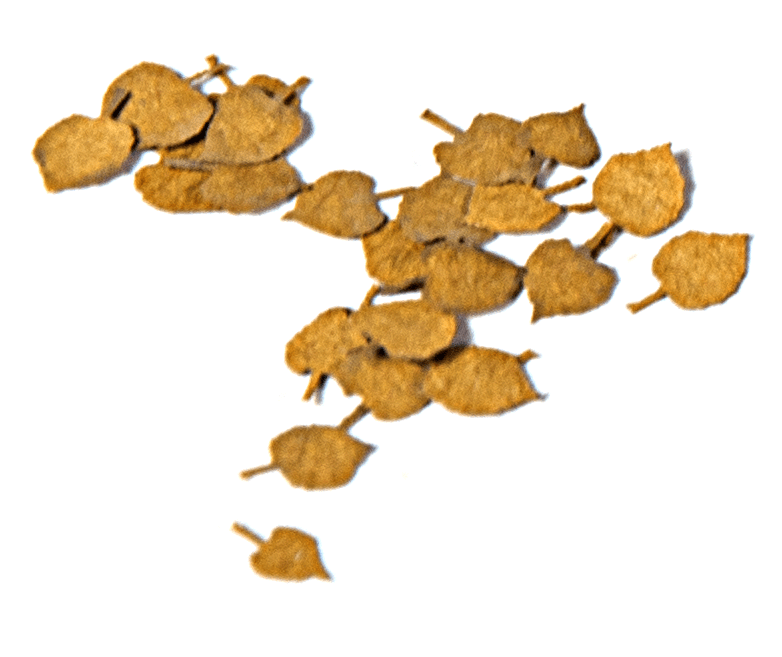 AK Interactive Lime 1/35 | 8435568301252