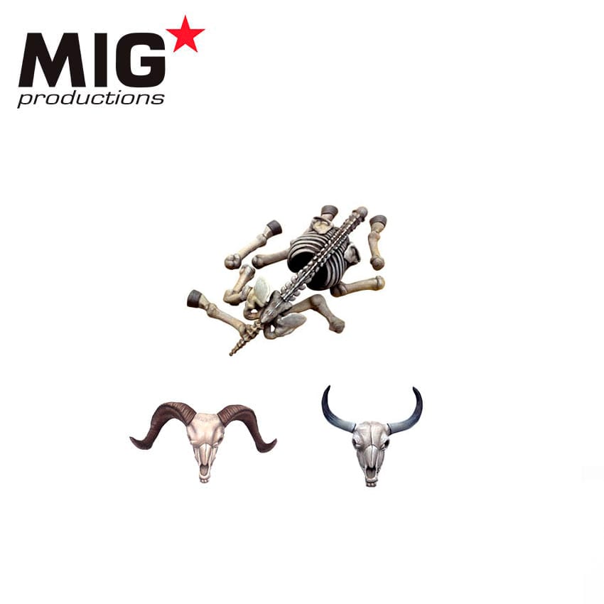 AK Interactive 1/48 Animal Skulls & Skeletons Plastic Model Kit | 8435568312920