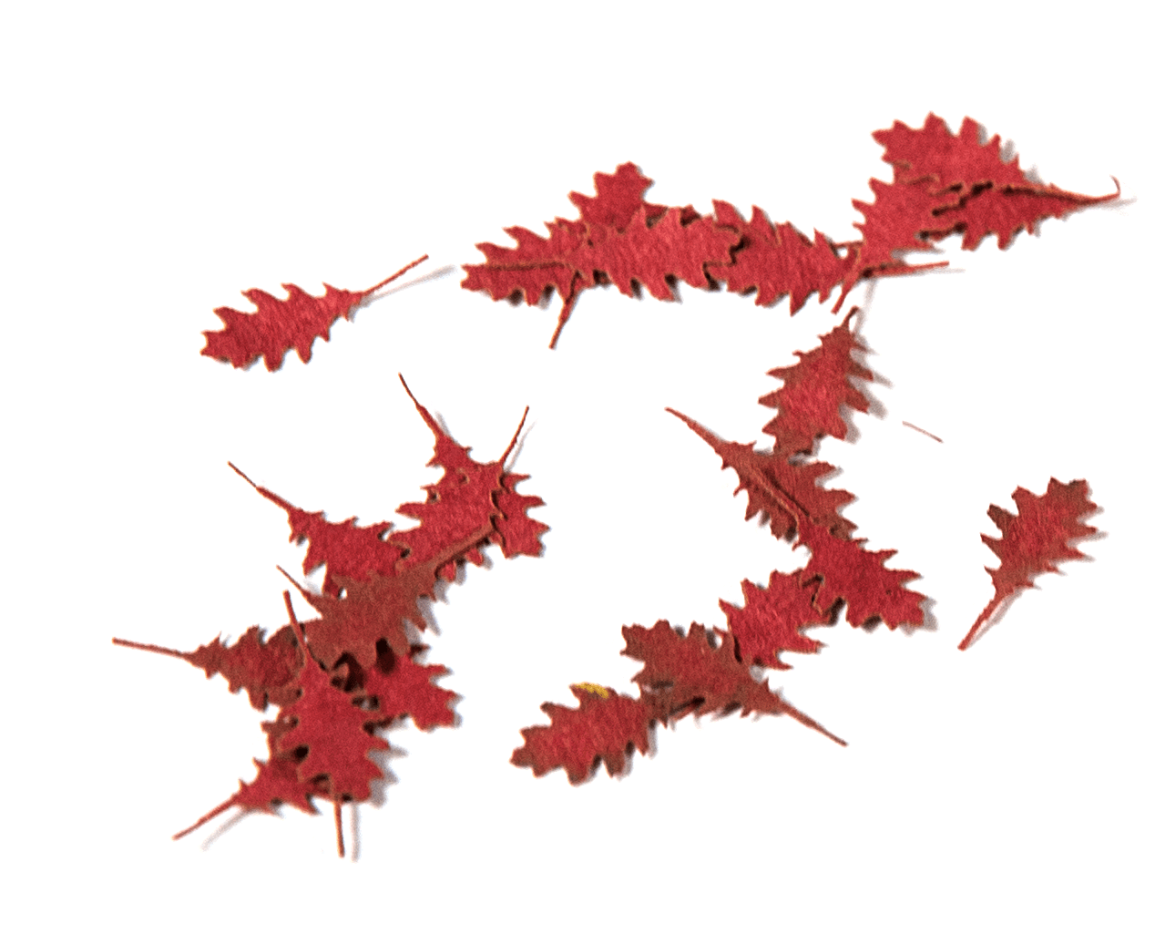 AK Interactive Northern Red Oak Autumn 1/35 | 8435568301306
