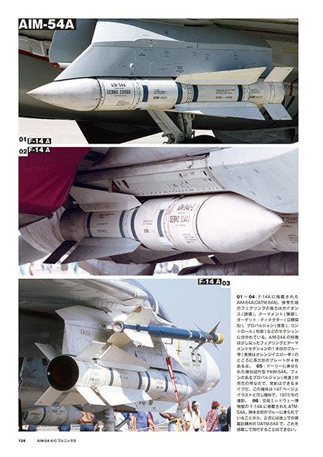 Model Art F-14 Tomcat - Detail Photo Collection (Japanese) (kse-38) | 4910123200903
