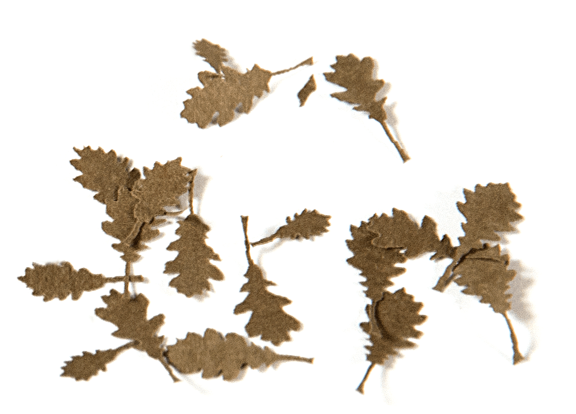 AK Interactive Oak Dry Leaves 1/35 | 8435568301313
