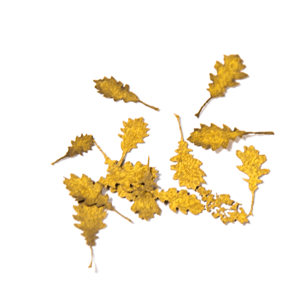 AK Interactive Oak Autumn 1/35 | 8435568301290