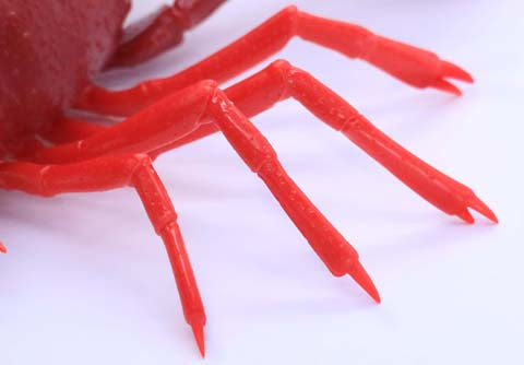 Fujimi Biology Edition Crayfish (Red) | 4968728170831