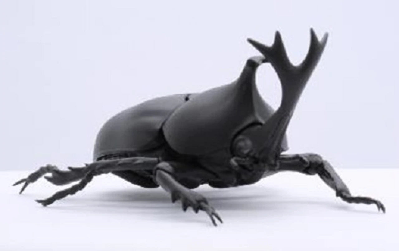 Fujimi Living Thing Series Japanese Rhinoceros Beetle Biology Edition Pre-painted kit | 4968728170725