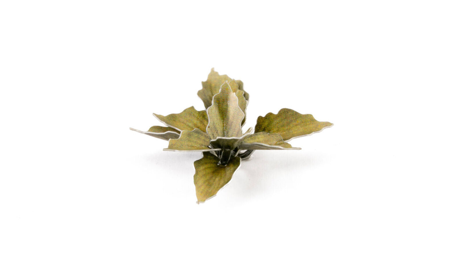 Gamers Grass Static Tuft Laser Plants - Plantain Lily | 738956790125
