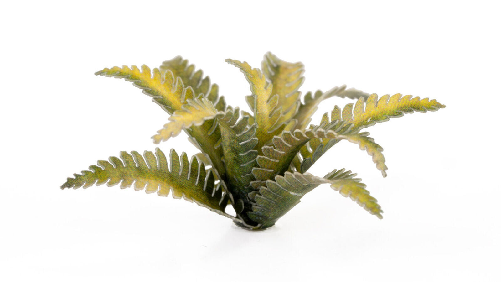 Gamers Grass Static Tuft Laser Plants - Deer Fern | 738956790149