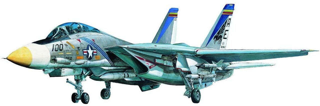 Doyusha 1/72 USN F-14A Tomcat "VF-143 Pukin Dogs" | 4975406412657