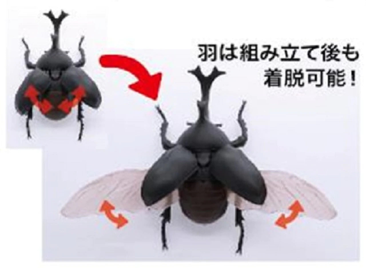 Fujimi Living Thing Series Japanese Rhinoceros Beetle Biology Edition Pre-painted kit | 4968728170725