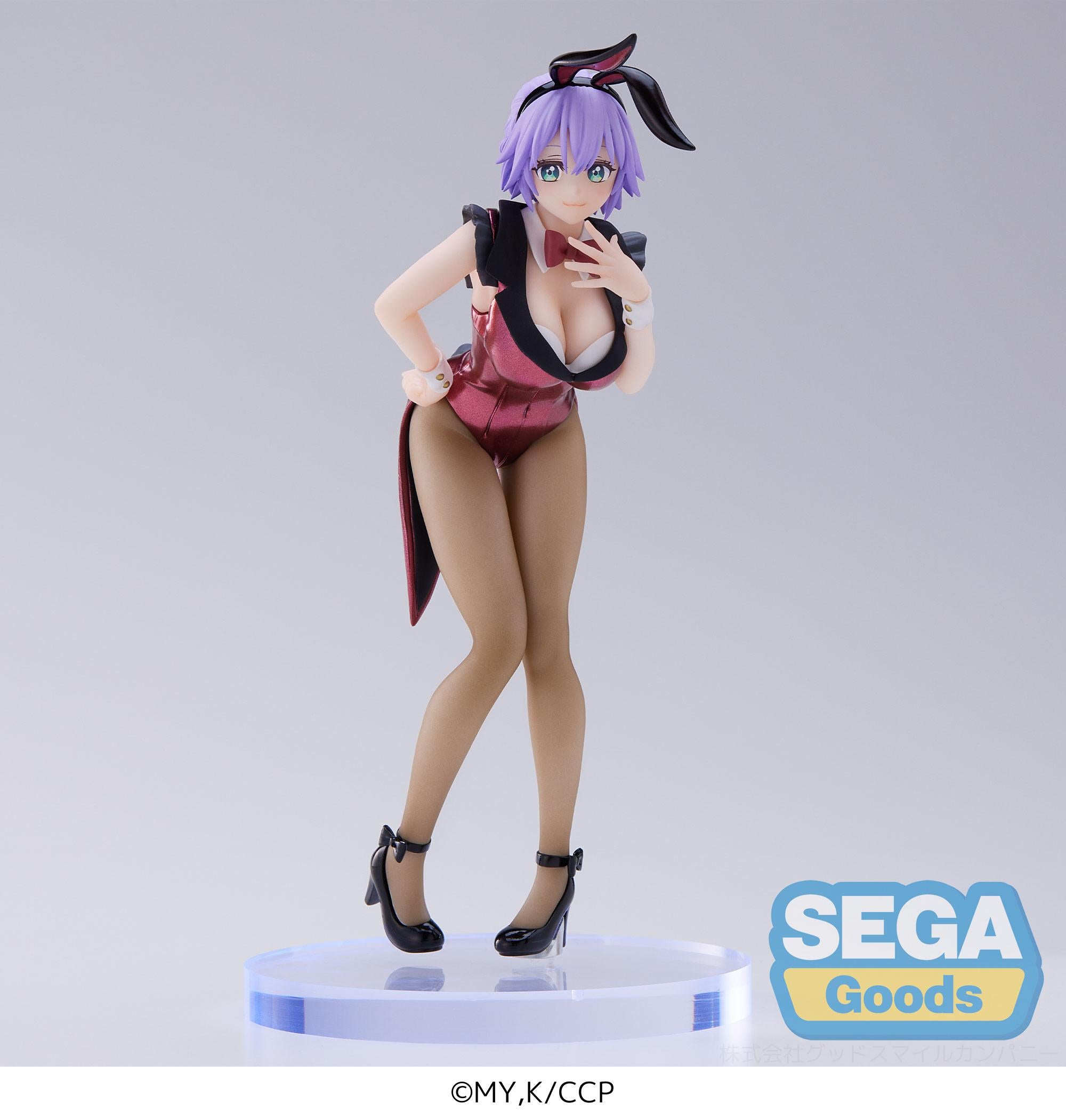 A Couple of Cuckoos Series Hiro Segawa PM Figure | 4580779511113