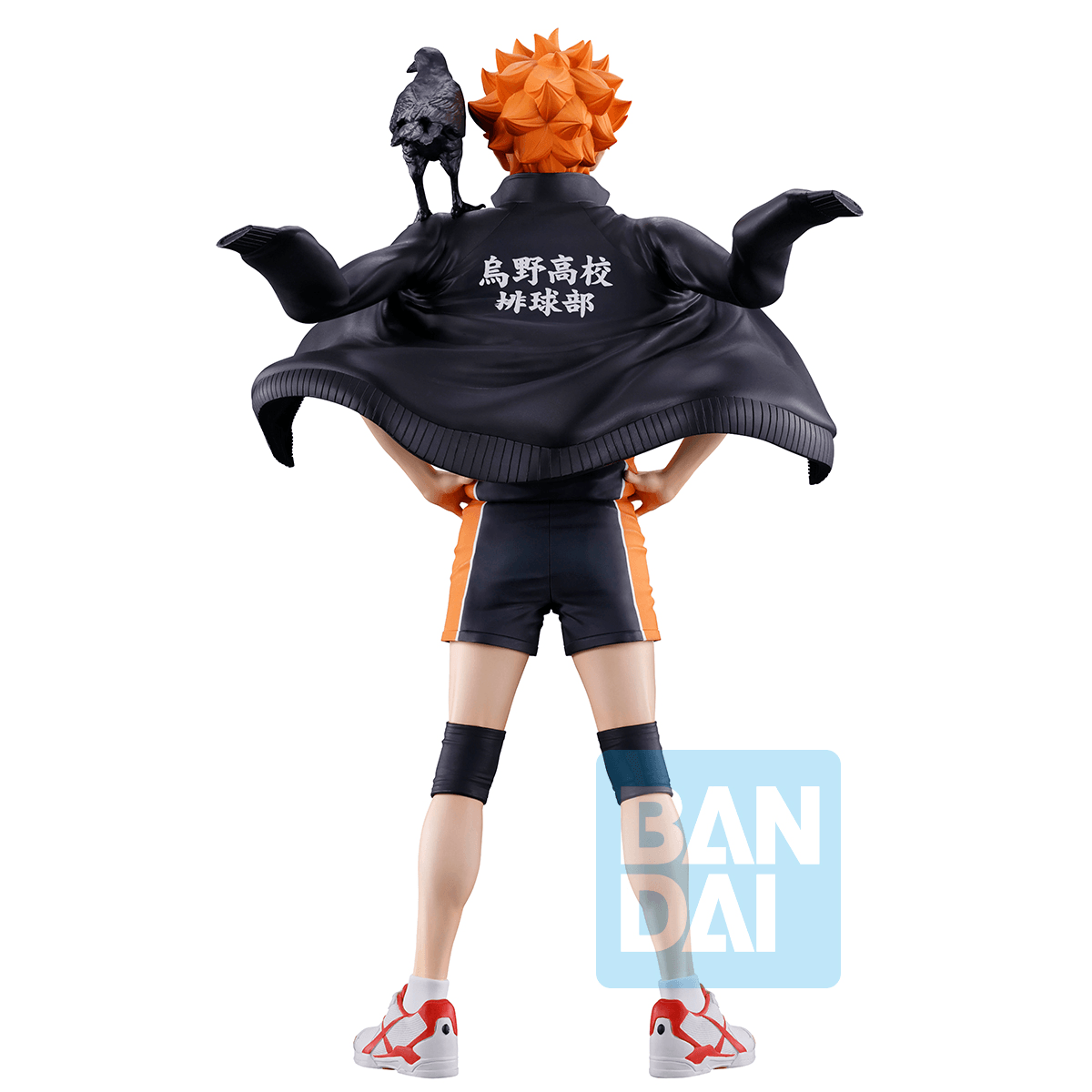 Shoyo Hinata (The Future of Karasuno) | 4573102724557