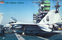 Hasegawa 1/48 F-14D Tomcat “CVW-14” | 4967834072121