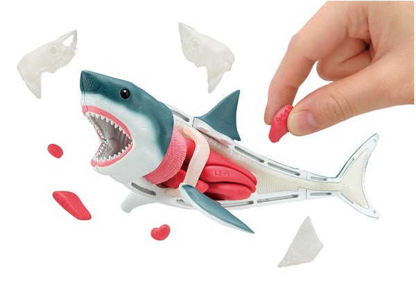Megahouse Kaitai Puzzle, Great White Shark Puzzle