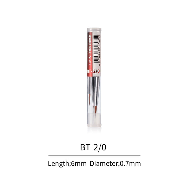 Dspiae 2/0 Fine Brush Tips 2/0 3PCS | 6970845565672