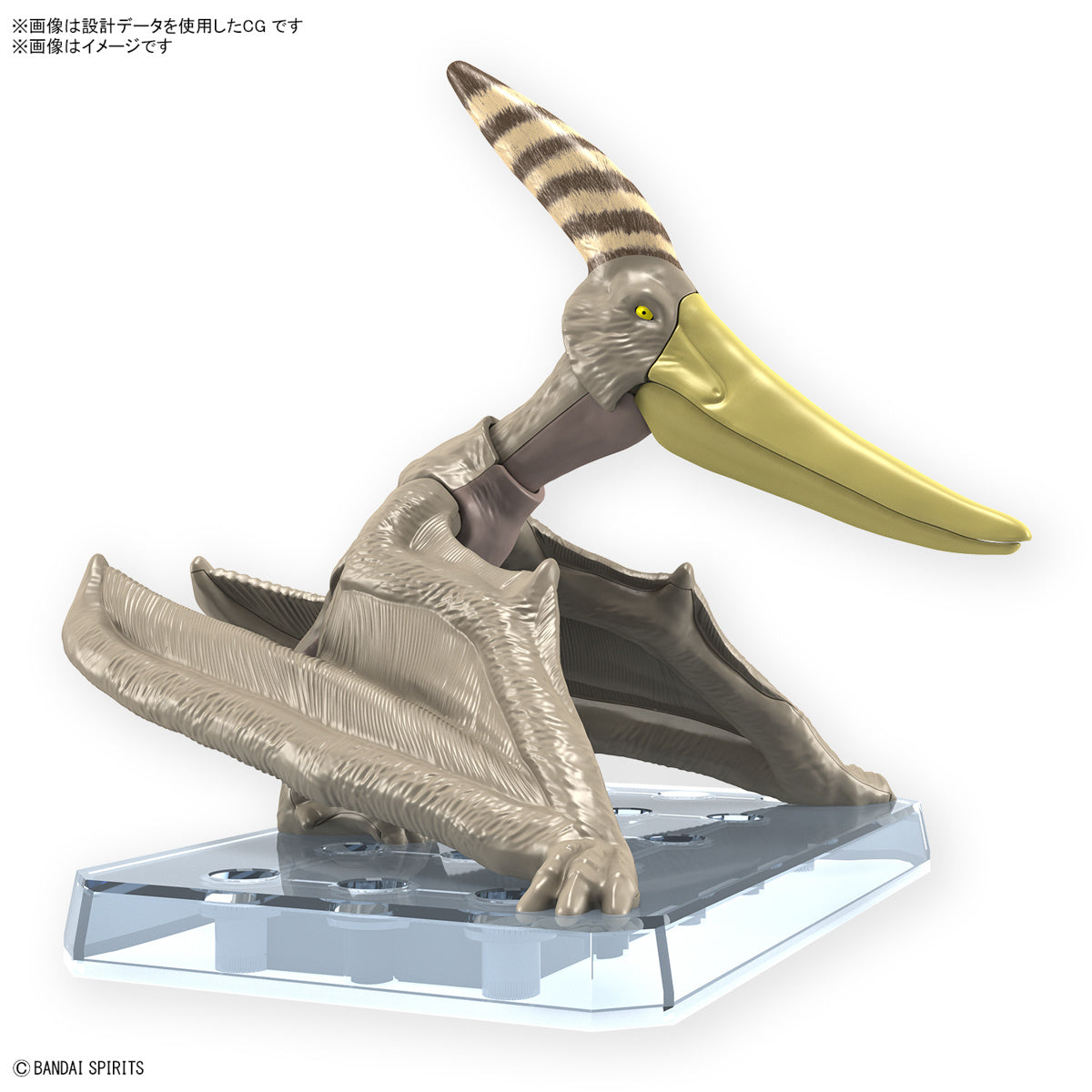 BANDAI Hobby PLANNOSAURUS Pteranodon