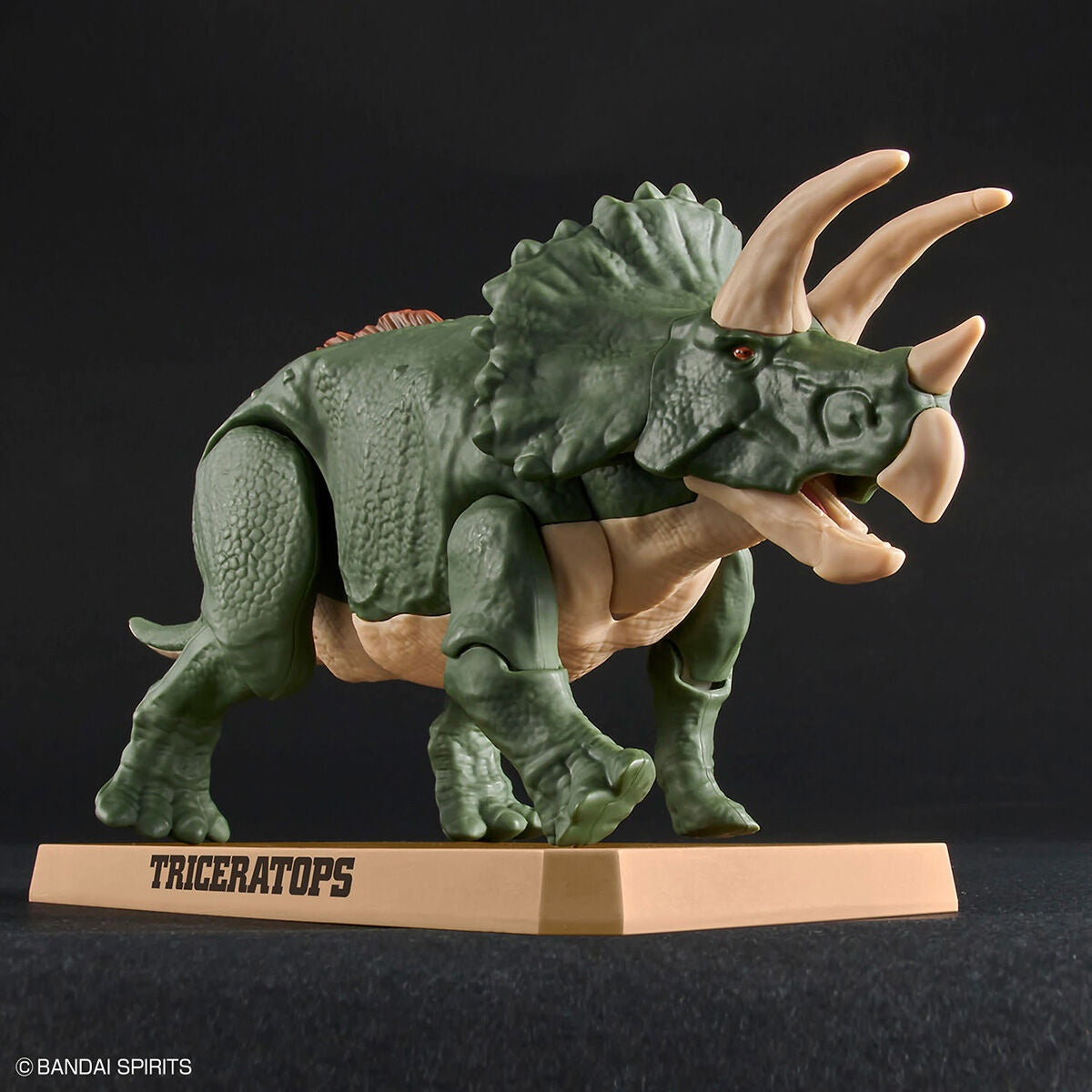 BANDAI Hobby New Dinosaur Plastic Model Kit Brand Triceratops