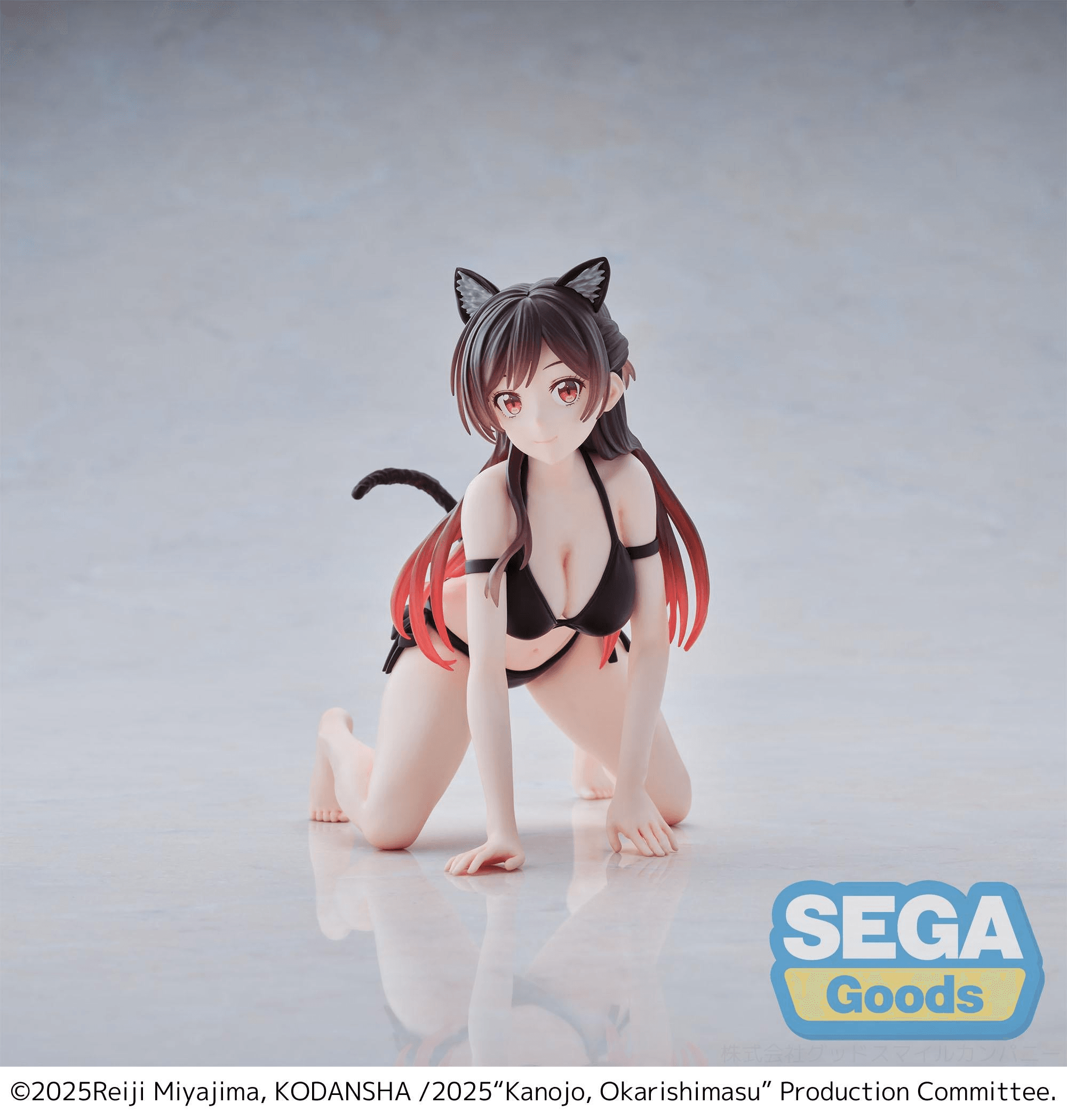 Yumemirize "Rent-a-Girlfriend" "Chizuru Mizuhara" | 4582733469409