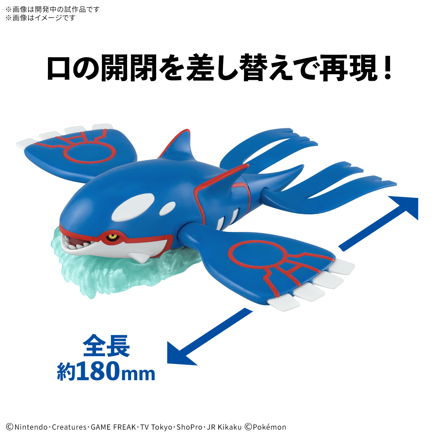 Pokemon Model Kit KYOGRE | 4573102735911