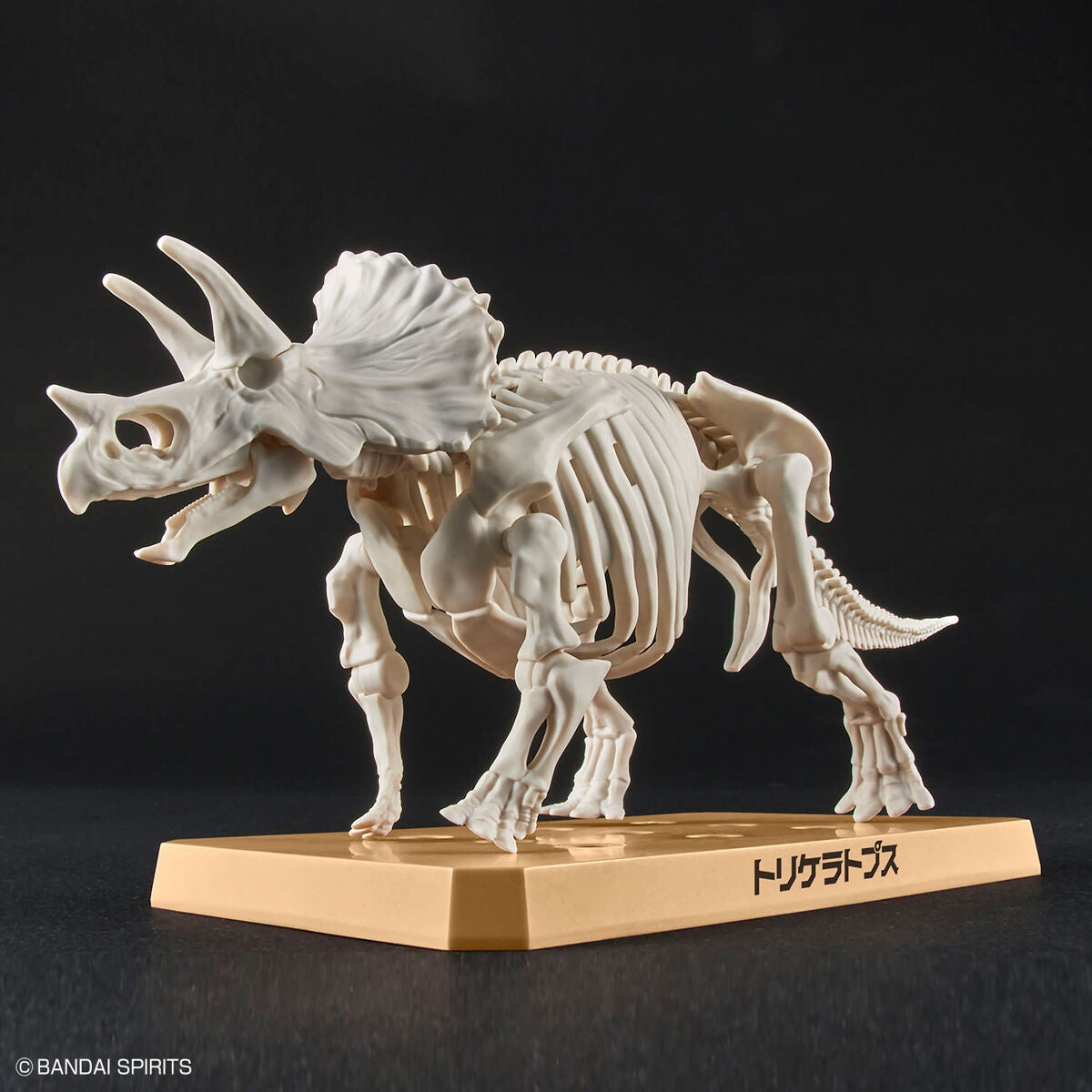 BANDAI Hobby New Dinosaur Plastic Model Kit Brand Triceratops