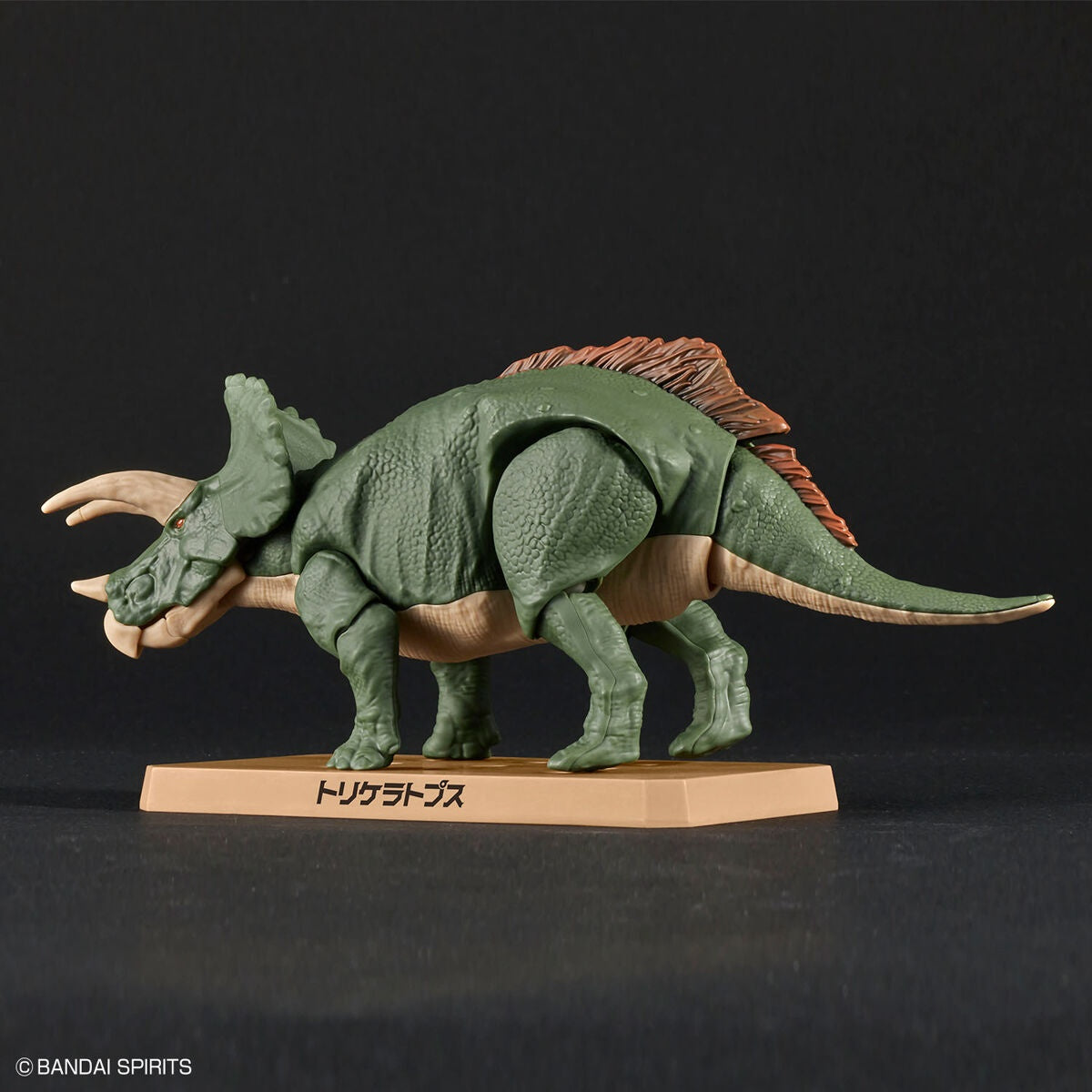 BANDAI Hobby New Dinosaur Plastic Model Kit Brand Triceratops