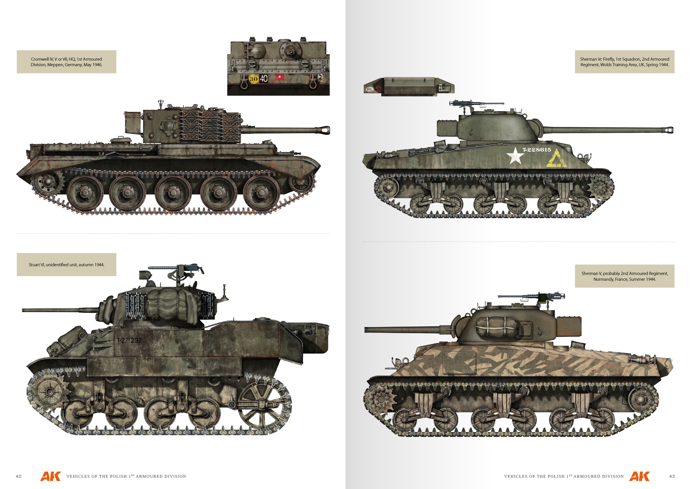 AK Interactive VEHICLES OF THE POLISH 1ST ARMOURED DIVISION (CAMOUFLAGE PROFILE GUIDE) English. 68 pages. Semi-hard cover.