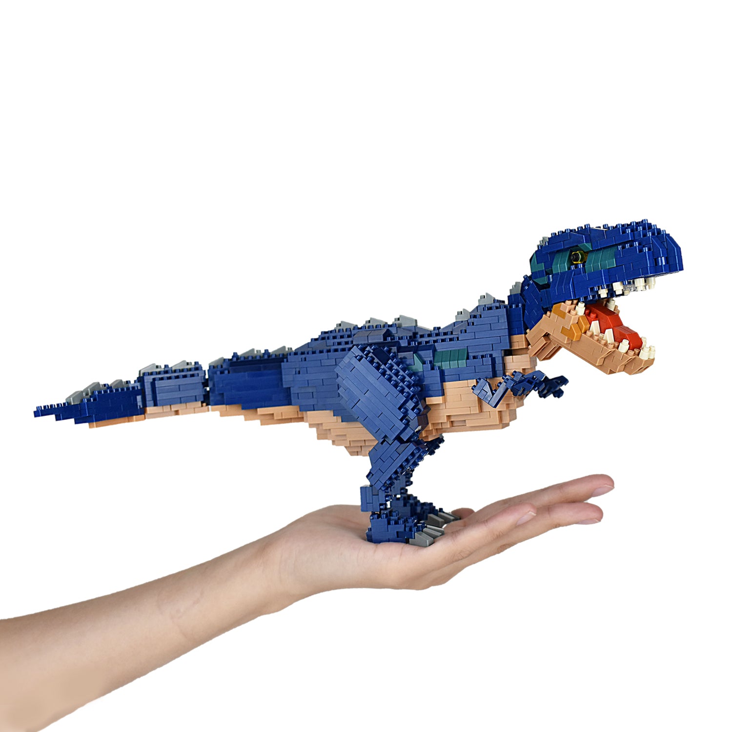 Kawada Dinosaur Deluxe Edition Giganotosaurus | 4972825223864