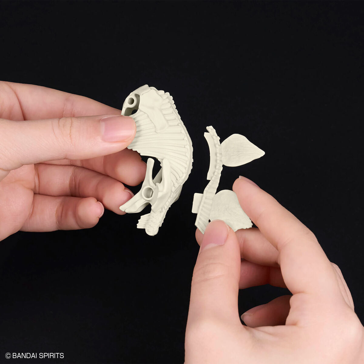 BANDAI Hobby New Dinosaur Plastic Model Kit Brand Stegosaurus
