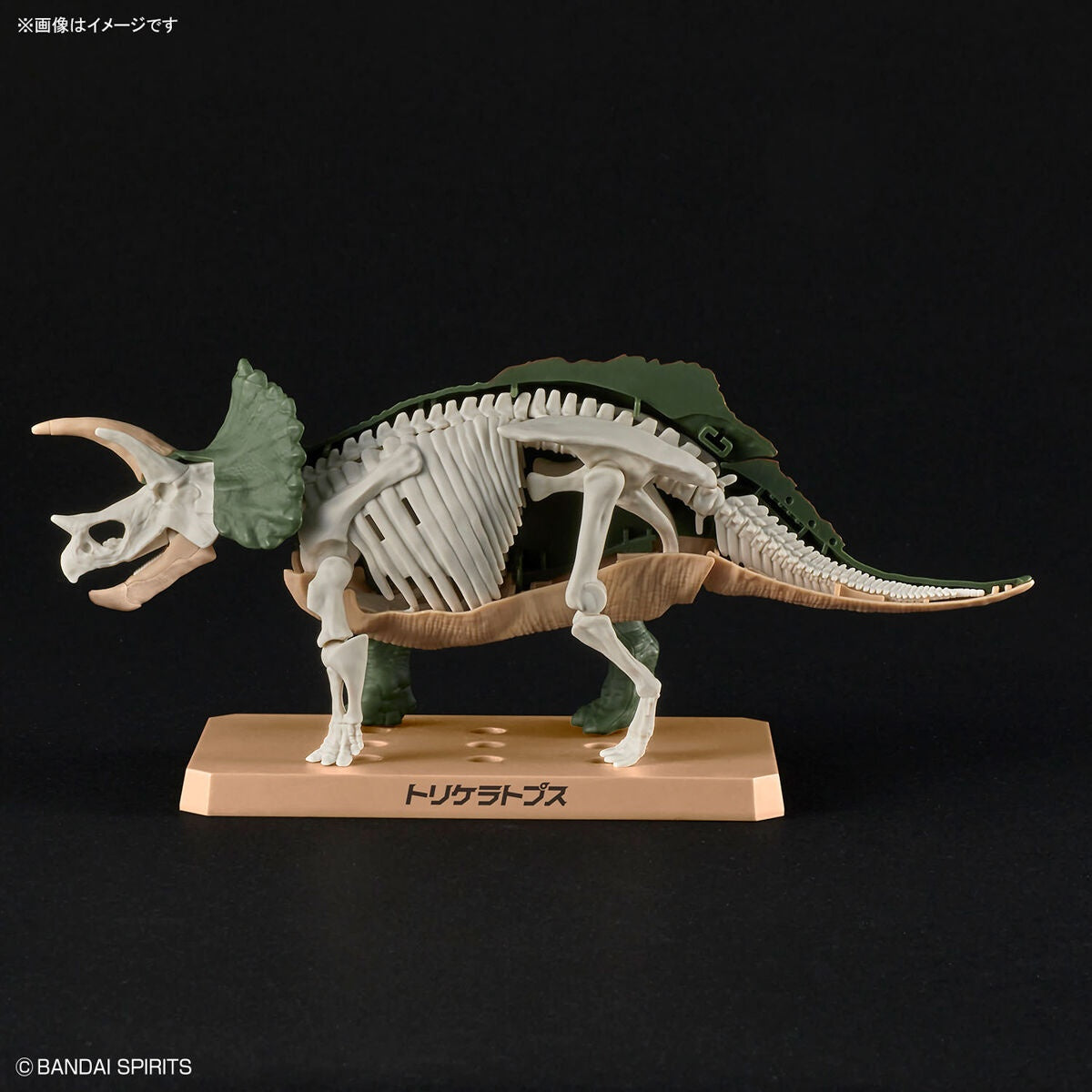 BANDAI Hobby New Dinosaur Plastic Model Kit Brand Triceratops