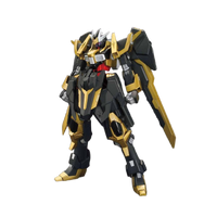 HGBF 1/144 Gundam Schwarzritter | 4573102582522