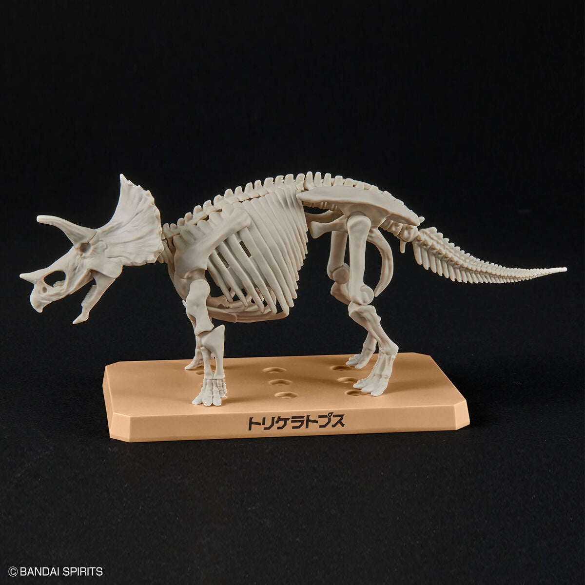 BANDAI Hobby New Dinosaur Plastic Model Kit Brand Triceratops