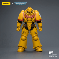 Imperial Fists Intercessor with Bolt Rifle, Bolt Pistol and Chainsword | 6927054403844